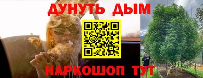 мдпв Краснознаменск